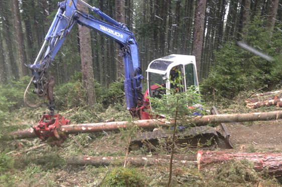 Bagger bei Holzarbeiten